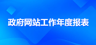 政府网站年度报表